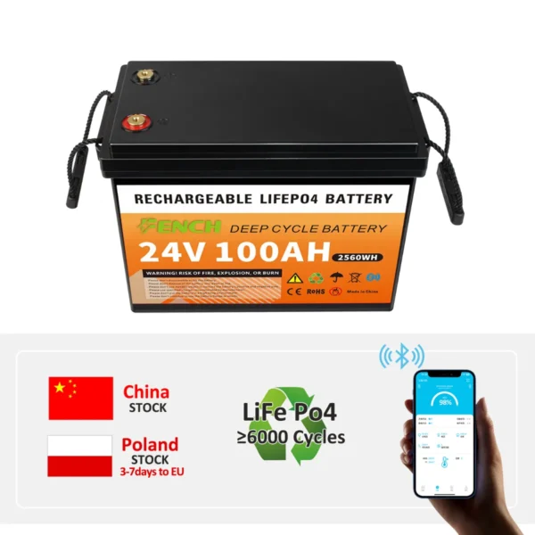 LIFEPO4 BATTERY PACK SERIES 24V 100Ah
