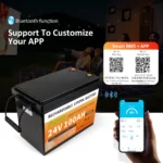 LIFEPO4 BATTERY PACK SERIES 24V 100Ah - Image 6