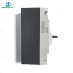 FENGCHCELL 300A DC Circuit Breaker MCCB for DIY battery boxes, 2-pole isolator in black and grey.